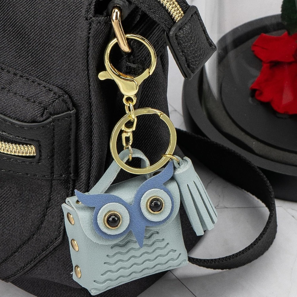 Mini Coin Purse Keychain Cute  - Backpack Insert Organizer review and price